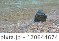 獨特的石頭和海灘 120644674