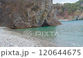 永恆的綠海 120644675
