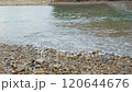 碼頭和海灘 120644676