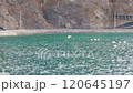 沿海風光 120645197