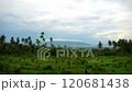 Picturesque Dense green tropical jungle, far in the background blue sea and low clouds 120681438
