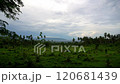 Picturesque Dense green tropical jungle, far in the background blue sea and low clouds 120681439
