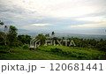 Picturesque Dense green tropical jungle, far in the background blue sea and low clouds 120681441