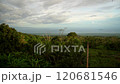 Picturesque Dense green tropical jungle, far in the background blue sea and low clouds 120681546
