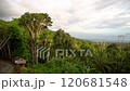 Picturesque Dense green tropical jungle, far in the background blue sea and low clouds 120681548