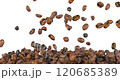 Coffee beans falling and fill screen. 3D animation on transparent background 120685389