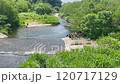 秋田の清流 120717129