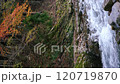 渓流の流れと紅葉の縦構図 渓流の流れと紅葉の縦構図 120719870