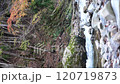 渓流の流れと紅葉の縦構図 渓流の流れと紅葉の縦構図 120719873