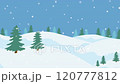 Falling snow blankets a snowy landscape with evergreen trees. 120777812