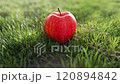 A Red Apple on green grass in Ultra HD 4K 120894842