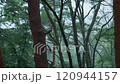 從河口湖的山間小屋看到的降雪。慢動作 120944157