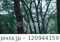 從河口湖的山間小屋看到的降雪。慢動作 120944159