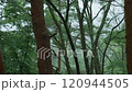 雨落在山間小屋，可以看到富士山 120944505