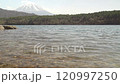 Snow-capped Mount Fuji towering over a lake and forest in the foreground, fixed shot 120997250