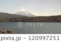 Snow-capped Mount Fuji towering over a lake and forest in the foreground, fixed shot 120997251