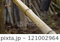 A CloseUp of a Bamboo Pole with a Black Tool Blurred in the Background of the Image 121002964