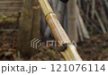 A stunning closeup view of bamboo craftsmanship showcased beautifully within natures embrace 121076114