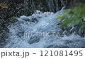 白川水源　水のせせらぎ 121081495