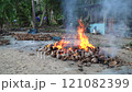 Coconut farm processing coconuts in the jungles of Thailand 121082399