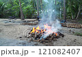 Coconut farm processing coconuts in the jungles of Thailand 121082407