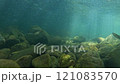 渓流 121083570