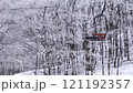 從纜車上穿過白霜林的景色（山形縣藏王） 121192357