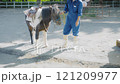 動物公園のポニー乗馬 121209977