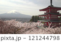 Cherry blossoms in full bloom and a red five-story pagoda with Mt. Fuji in the background, fixed shooting, with ambient sound 121244798