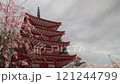Red five-story pagoda and weeping cherry blossoms at Arakurayama Sengen Shrine in spring, fixed shot 121244799
