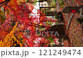 Fallen leaves piled up on Jizo statue at Shohoji Temple in Kyoto 2 121249474