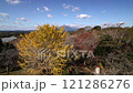 都城市、山田町、市土丘 R6 121286276