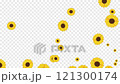 具有 alpha 通道的向日葵顆粒（向日葵） 121300174