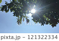 Video footage of sunlight filtering through under a tree on a hot summer day. 121322334