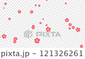 梅花 梅花 alpha 通道 121326261
