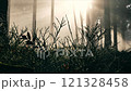 A stunning sunlit forest scene filled with mist and diverse flora that captivates the senses 121328458
