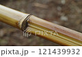 A detailed closeup view of a bamboo segment set in a picturesque natural environment 121439932