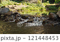 water flows over rocks in a mountain river 121448453