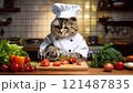 野菜を切っている猫のシェフ　 121487835