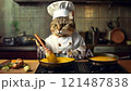 スープをかき混ぜながら料理をしている猫のシェフ 121487838