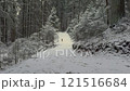 Couple walking downhill on the trail in the winter forest 121516684