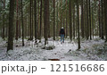 Walking alone in the winter woods 121516686