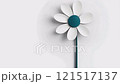 黛西的花 121517137