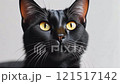 黑貓 121517142