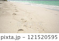 Footprints on a wild sandy sea beach 121520595
