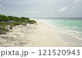Sandy wild seashore on an uninhabited island in the Maldives 121520943