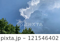 A sky with a clouds and green trees 121546402