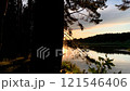 Panoram of sunset in the forest and river 121546406