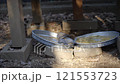 吃鳥 121553723