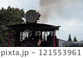 Darjeeling Toy Train Steam Engine 121553961